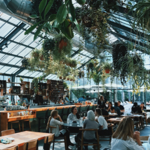Photo of people at tables in a restaurant setting with plants