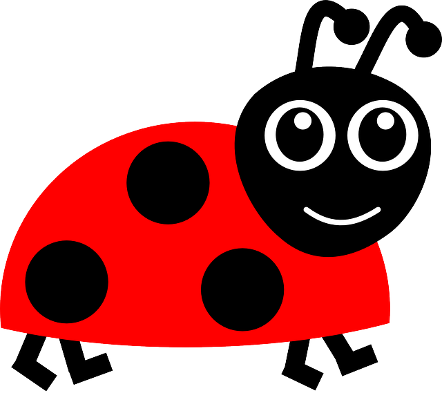 Cartoon photo of ladybug